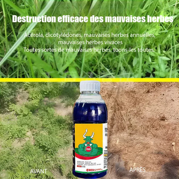 Herbicide Glufosinate à haute concentration