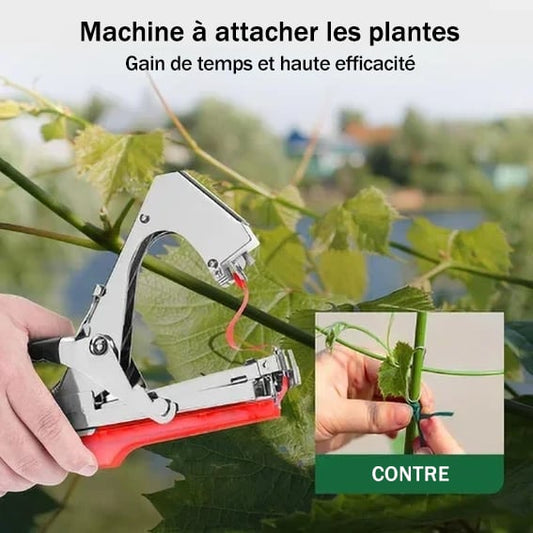 🍇Machine à attacher les plantes🌶️