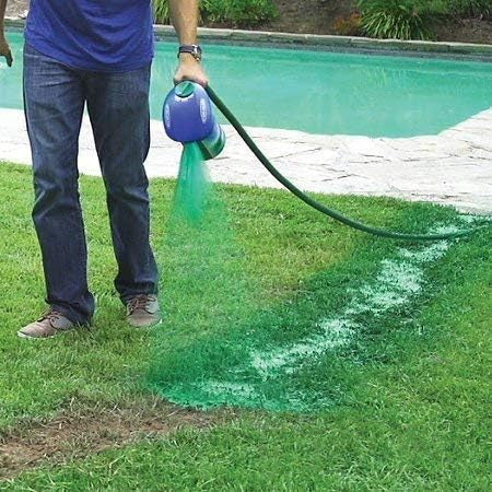 Hydro mousse rend le jardin vert et luxuriant.